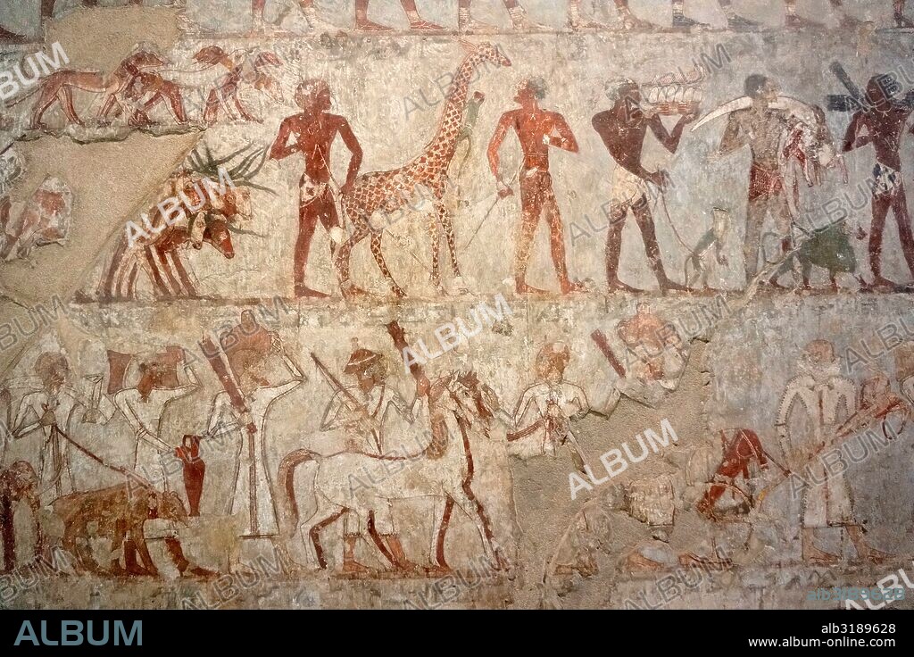 Egipto. Tumba 100 Rekmire. La tumba TT100 se encuentra en Sheikh Abd el-Qurna y forma parte de la Necrópolis de Tebas, en la orilla oeste del Nilo, frente a Luxor. Se trata de la capilla funeraria del visir Rekhmire (o Rejmira) que vivió durante la XVIII dinastía del Antiguo Egipto.