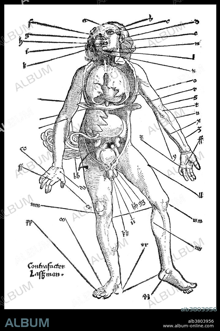 Hans von Gersdorff (1455-1529) was a German surgeon. In 1517, he published Feldbuch der Wundartzney (Fieldbook of Surgery). The book, based on the writings of Guy de Chauliac, served as one of the most basic surgical texts in Europe for a number of years. It was well-known for its advice on limb amputation, of which Gersdorff is reputed to have performed at least 200. The book contains woodcut anatomical images, including a bloodletting figure, "Wound Man," a skeleton, and another figure showing internal organs (the viscera-manikin). Virtually nothing is known about the illustrator, Johann Ulrich Wechtlin. The two folded leaves (the skeleton and the viscera-manikin) were originally published by Johann Schott and were inserted into the book's 1517 edition. In later editions, such as this one printed in 1528, the leaves appear to have been standard illustrations.