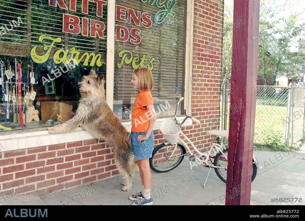 ANNASOPHIA ROBB in BECAUSE OF WINN-DIXIE, 2005, directed by WAYNE WANG. Copyright 20TH CENTURY FOX / TENNER, SUZANNE.