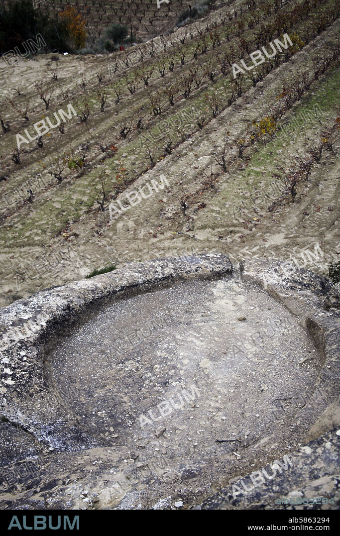 cerca de Samaniego; antiguo "lagar" tallado en piedra.