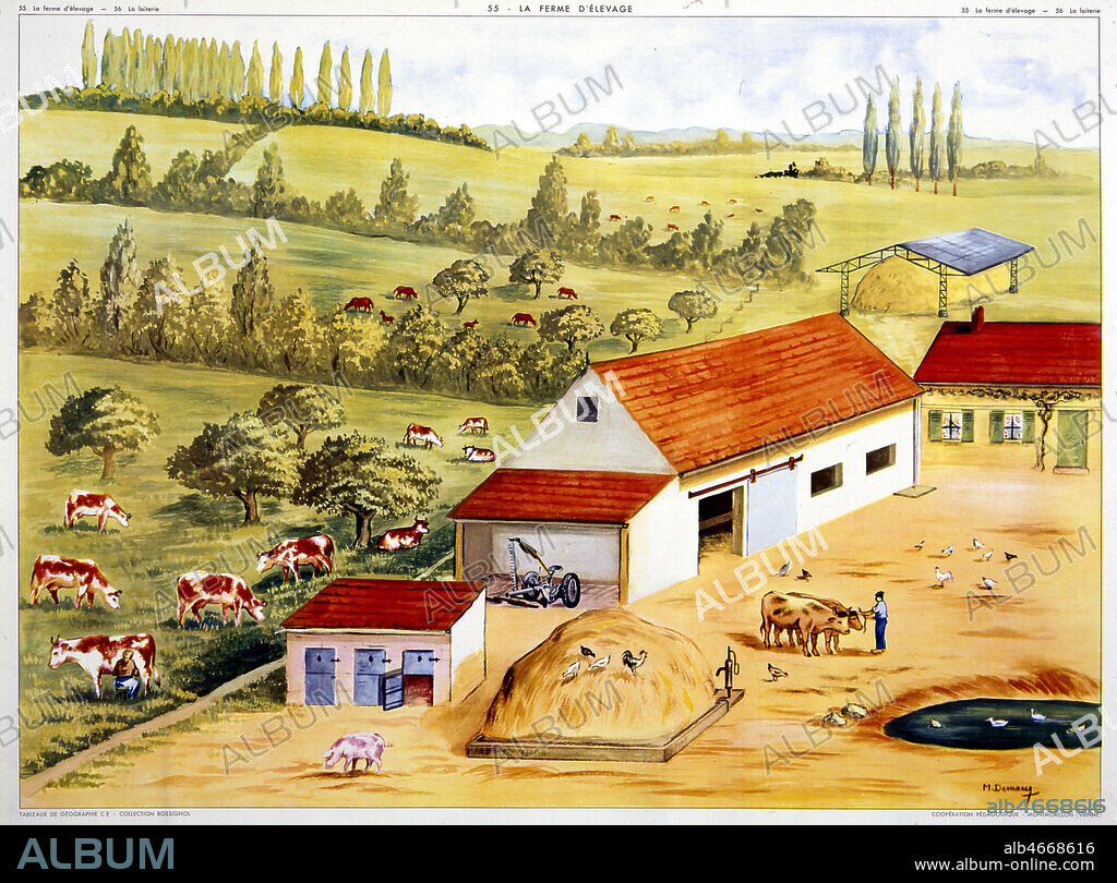 La ferme d'elevage dans les annees 1950. Panneau scolaire Rossignol de 1954 serie dessinee par Raylambert et Robuchon. Credit: Coll. Rossignol/KHARBINE-TAPABOR.
