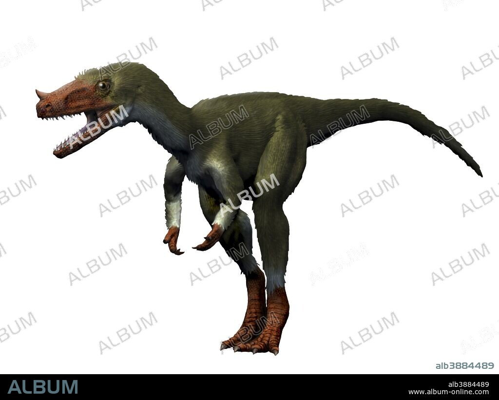 Proceratosaurus dinosaur, white background.
