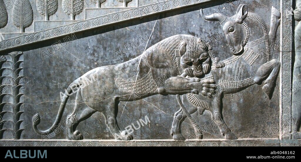 Relief of a bull being attacked by a lion, the Apadana, Persepolis, Iran. The capital of Achaemenid Persia, Persepolis was predominantly built during the reigns of the dynasty's founder, Darius I (522-485 BC) and his son Xerxes I (485-465 BC). One of the main, and earliest, buildings of the city was the great audience hall, the Apadana. Every year the king would receive tribute in the form of gifts from representatives of all the poples of the Achaemenid empire, which at its greatest extent stretched from Libya in the west to the Indus valley in the east.