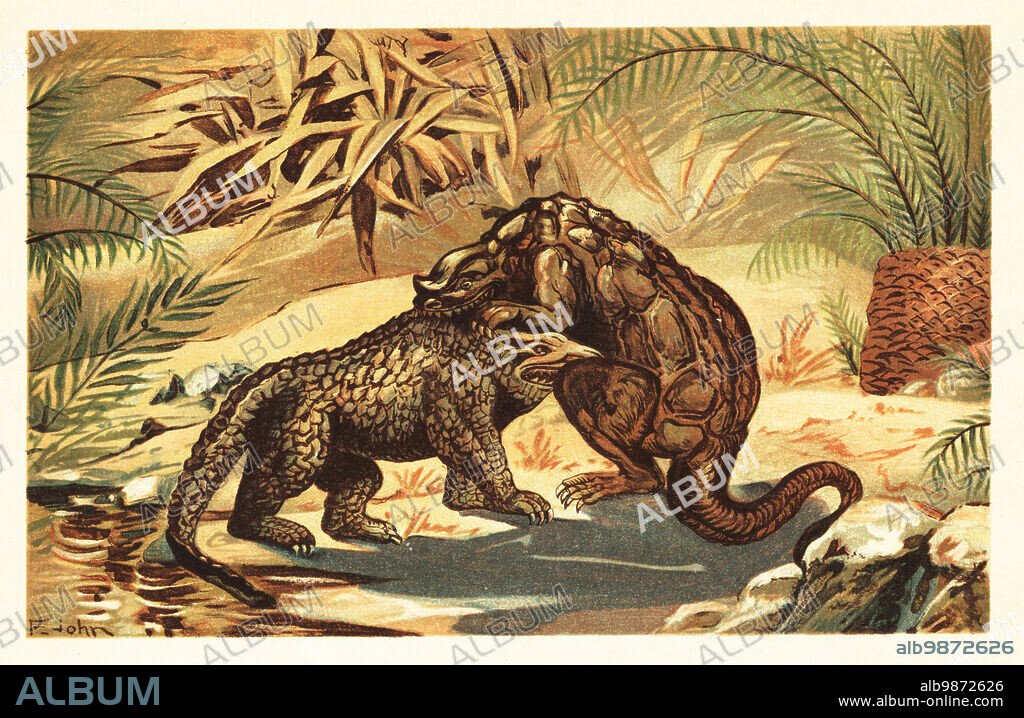 Battle between a Megalosaurus bucklandii and Iguanodon bernissartensis. Megalosaurus, genus of large meat-eating theropod dinosaurs of the Middle Jurassic. Iguanodon, genus of iguanodontian dinosaur of the late Jurassic to the early Cretaceous. Kampf zwischen Megalosaurus und Iguanodon. Colour printed illustration by F. John from Wilhelm Bolsches Tiere der Urwelt (Animals of the Prehistoric World), Reichardt Cocoa company, Hamburg, 1908.