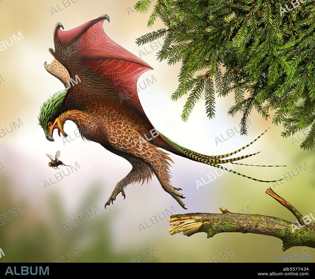 Yi qi hunting flies. Yi is a genus of scansoriopterygid dinosaurs from the Late Jurassic of China.