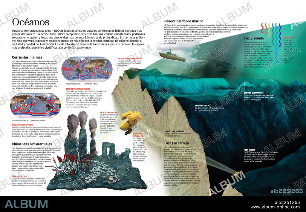 OCEANOS. Infografía del ecosistema marino, su geología y principales características que lo determinan.