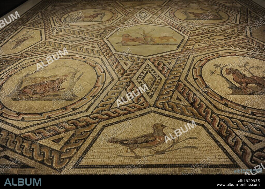 ARTE ROMANO. ALEMANIA. MOSAICO policromado decorado con cenefas y animales. Procedente de una casa en Tréveris. Hacia el 250. Descubirto entre el1811 y 1865. Museo Histórico Alemán (Deutsches Historisches Museum). Berlín. Pieza cedida por el Museo Estatal Renano de Tréveris (Rheinisches landesmuseum, Trier). Alemania. Europa.
