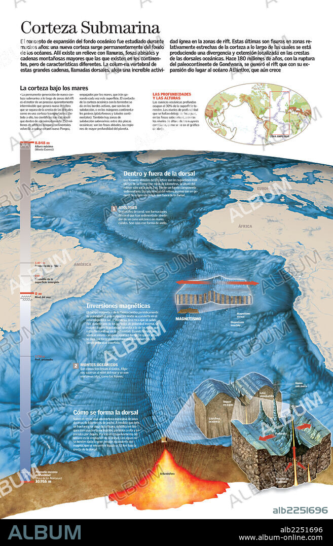 Corteza submarina. Infografía de la estructura de una dorsal oceánica y las características del suelo oceánico.