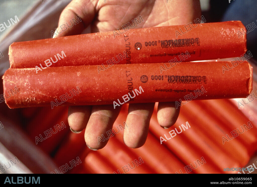 Dynamite. Hand holding sticks of dynamite, a highly-explosive substance widely used in the demolition industry. Dynamite is made of nitro- glycerin mixed with an inert, porous material such as sawdust or certain types of clay. Nitroglycerin is made of carbon (C), nitrogen (N), hydrogen (H) and oxygen (O). It has the chemical formula C3H5(NO3)3. When heated above 218 degrees celsius or in a closed vessel, the nitroglycerin detonates to form 10,000 times its own volume of gas. The expansion of this gas causes an explosion which is several times more powerful than that caused by an equivalent amount of gunpowder. Dynamite was invented by Swedish chemist Alfred Nobel in 1866.