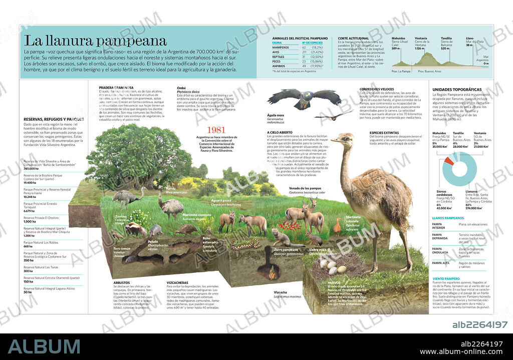 La llanura pampeana. Infografía de las características y la fauna de la pampa argentina.