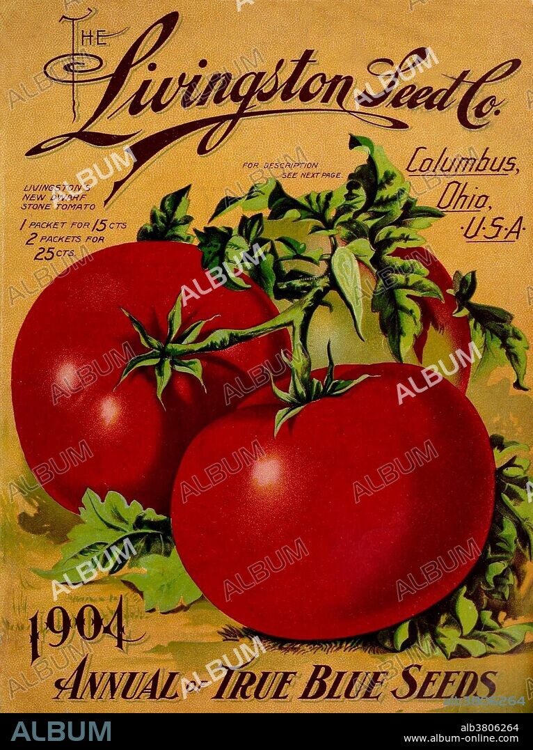 Entitled: "A. W. Livingston's Sons, Columbus, Ohio, 1904." Livingston Seed was founded in 1850 by Alexander Livingston. He developed the first reliable tomato variety and cultivated a total of 31 varieties. He first tried hybridization, and eventually began a careful selection of traits from generation to generation. With the economic crash of 1876, the company filed for bankruptcy. It was Mr. Livingston's son, Robert who reformed the company under the name "A.W. Livingston's Sons" and continued his father's success. In 1898, the company was incorporated as "Livingston's Seed Company" and continued as a family run business until 1979. Historical seed catalogs provide a variety of insights into the history of horticulture, agriculture, gardening, advertising, seed companies, and the mail order business. Seed trade catalogs even contain windows into the history of graphic design and social history by showing the changing interests and desires of the gardener and farmer. Not only do the seed catalogs reveal new varieties and when they were introduced, but many also include brief advice on how and where to plant the seeds, lawn care, and occasionally a history of certain plant varieties.