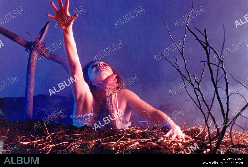 THE EVIL DEAD, 1981, directed by SAM RAIMI. Copyright RENAISSANCE PICTURES.