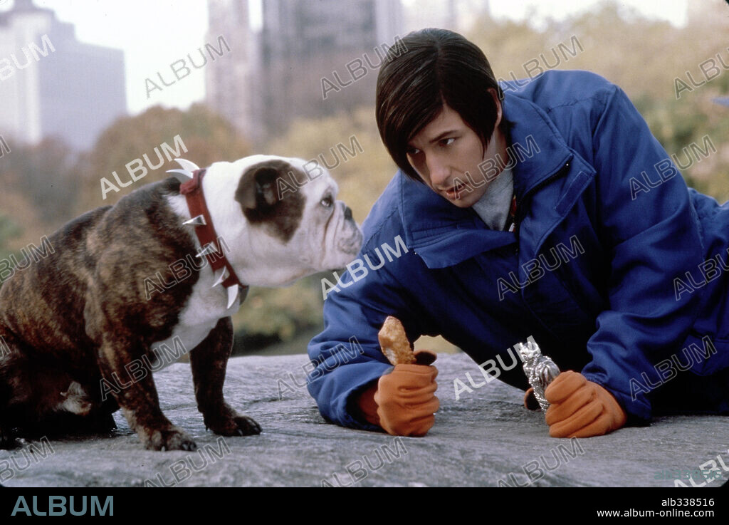 ADAM SANDLER in LITTLE NICKY, 2000, directed by STEVEN BRILL. Copyright NEW LINE CINEMA / ARONOWITZ, MILES.