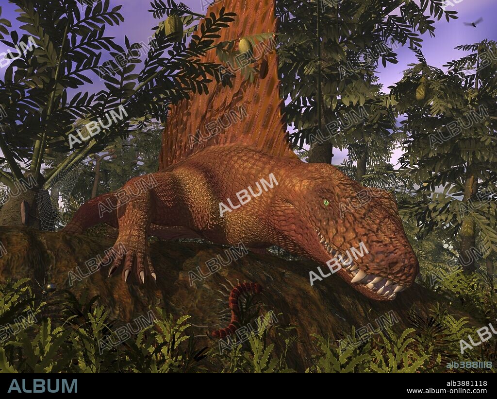 Dimetrodon was the apex predator of its time. They came as large as 11 feet long, 4 feet tall, and weighing as much as 300 pounds. Their reptilian hide, a relative novelty for that period, ensured their survival out of water. The large sail may have helped them to regulate body temperature, a survival advantage during the extremes of hot and cold during the Early Permian. . . Alethopteris was a seed fern that populated much of the world during the Carboniferous and Early Permian periods. Long extinct, fossilized leaves from the Alethopteris are commonly found today.