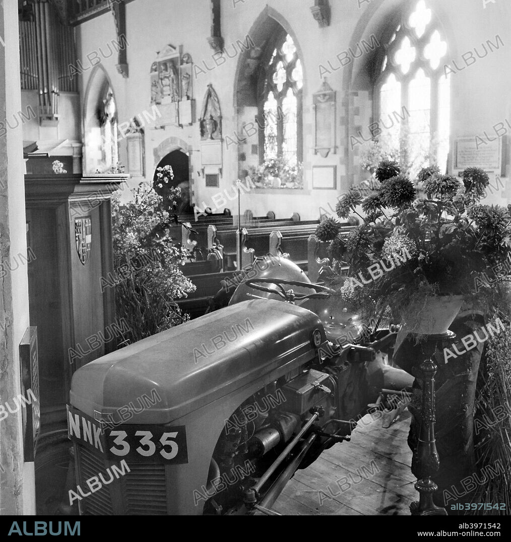 A tractor forms the focus of the harvest festival decorations in St Etheldreda's church, Hatfield, Hertforshire, 1960.