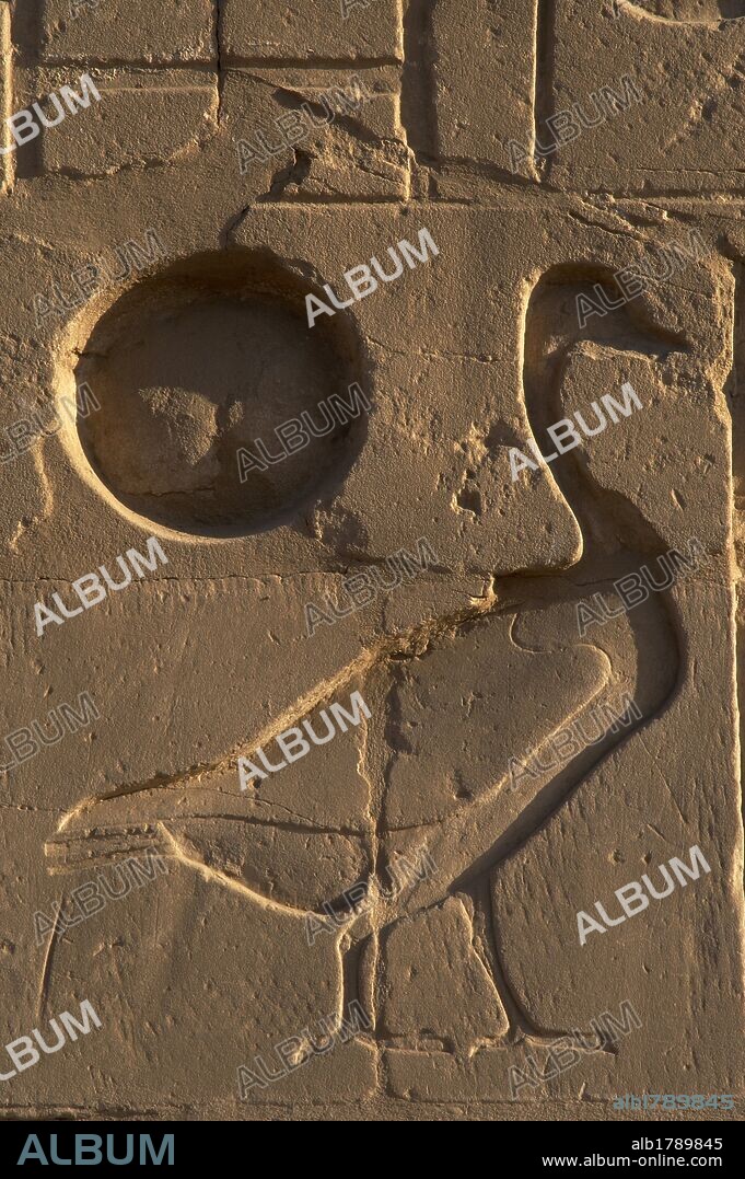 ARTE EGIPCIO. EGIPTO. IDEOGRAMA COMPUESTO de un JEROGLIFICO egipcio: REY (HIJO DEL SOL). Representado por un ganso junto al sol. Relieve localizado en un muro cercano al lago artificial del TEMPLO DE KARNAK. Noroeste de Luxor. Egipcio. Imperio Nuevo.