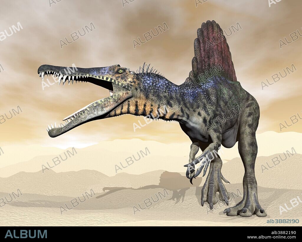 Spinosaurus dinosaur roaring in the desert.