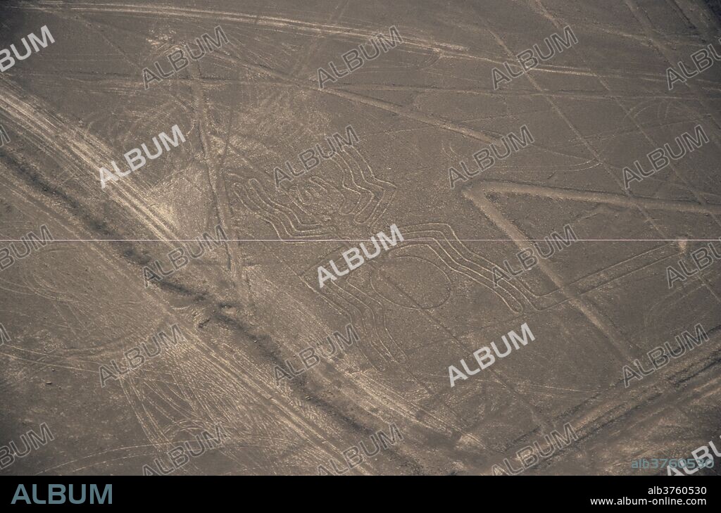 Spider, Nazca (Nasca) Lines, UNESCO World Heritage Site, Peru, South America.