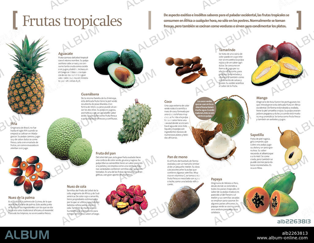 Frutas tropicales. Infografía sobre las frutas tropicales que se comen habitualmente en África, ya sean frescas o cocinadas, a modo de verduras.