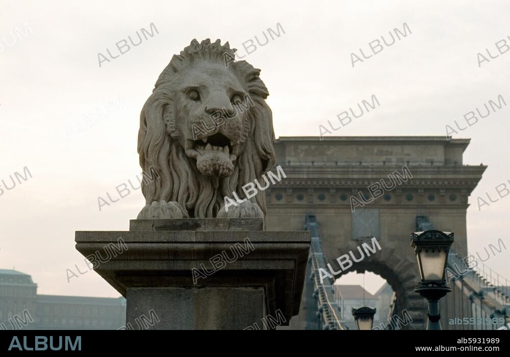 Budapest, Kettenbrücke Detail, Löwe (Budapest,Ungarn,HUN) Roman von Götz.