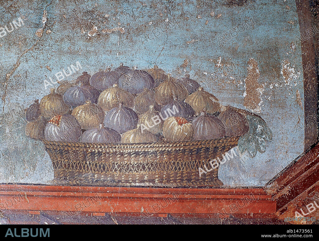 ARTE ROMANO. ITALIA. Detalle de una pintura al fresco con la representación de un CESTO DE HIGOS. Data del s. I d. C. OPLONTIS. Campania. Italia.