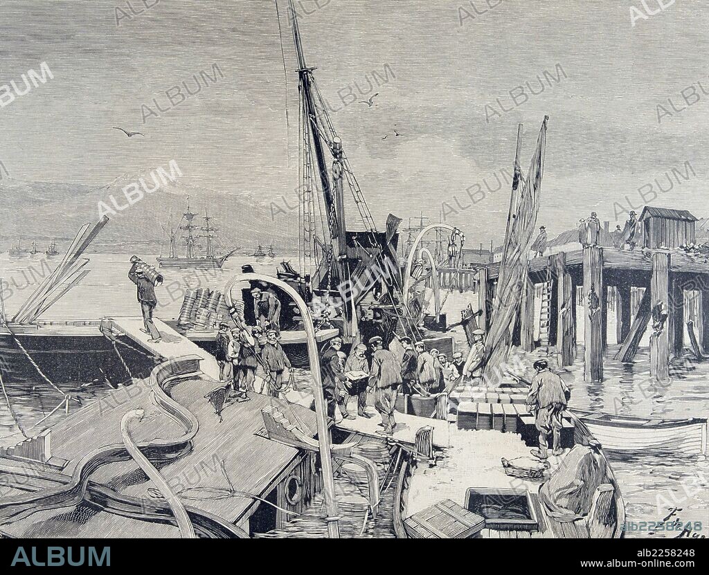 SANTANDER. EXPLOSION DEL BUQUE " CABO MACHICHACO " EN 1892. DESCARGA DELA DINAMITA DEL BARCO DESPUES DE LA EXPLOSION. GRABADO. ILUSTRACION ESPAÑOLA Y AMERICANA.