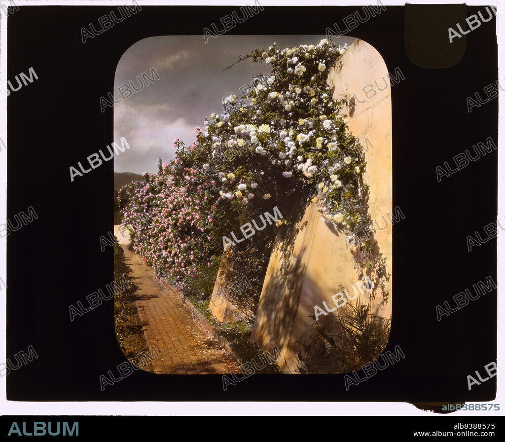 FRANCES BENJAMIN JOHNSTON. El Fureidis, James Waldron Gillespie house, Parra Grande Lane, Montecito, California, 1917. House Architecture: Bertram Grovesnor [sic] Goodhue with Cram, Goodhue & Ferguson, built from 1905-1906; Myron Hunt and Elmer Grey, Supervising Architects. Landscape: Bertram Grosvenor Goodhue with Cram, Goodhue & Ferguson, 1902-1906.