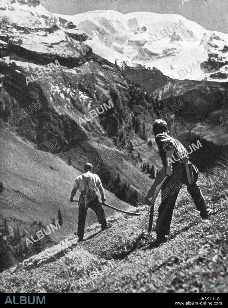 Peasant farmers haymaking at the glacier foot, Switzerland. 1936. From Peoples of the World in Pictures, edited by Harold Wheeler, published by Odhams Press Ltd (London, 1936).