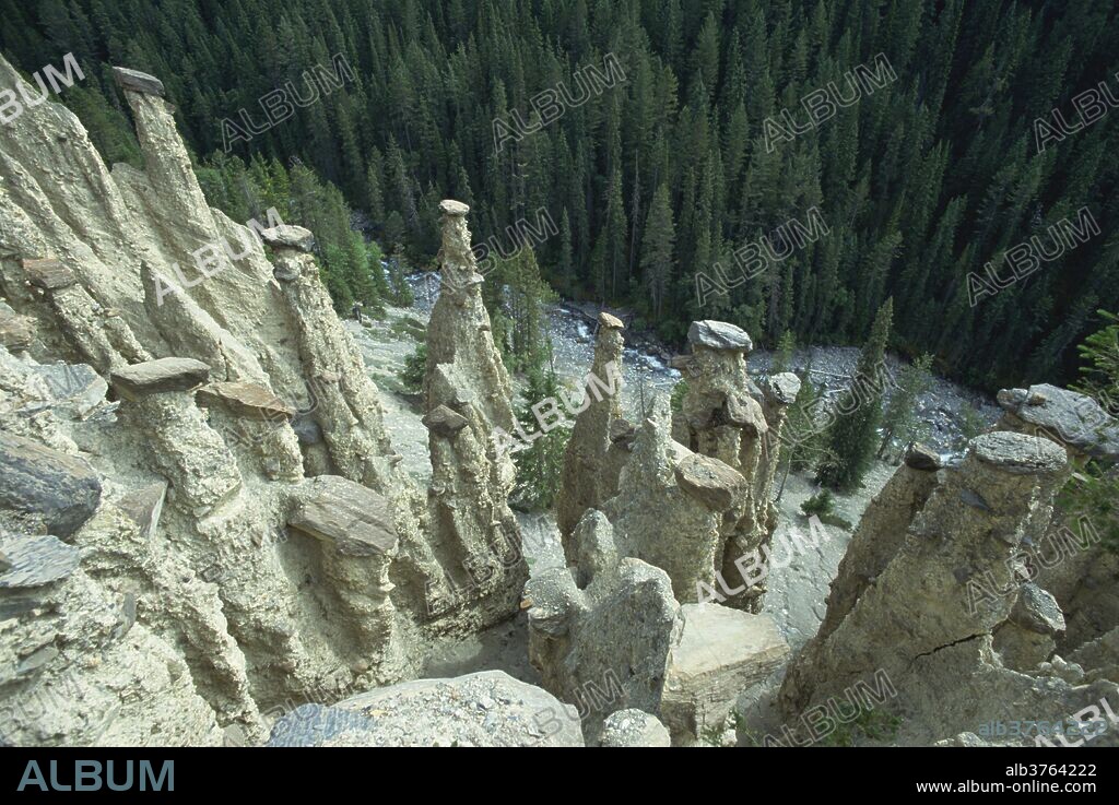 Hoodoos at Hoodoo Creek, Yoho National Park, UNESCO World Heritage Site, Rocky Mountains, British Columbia, Canada, North America.