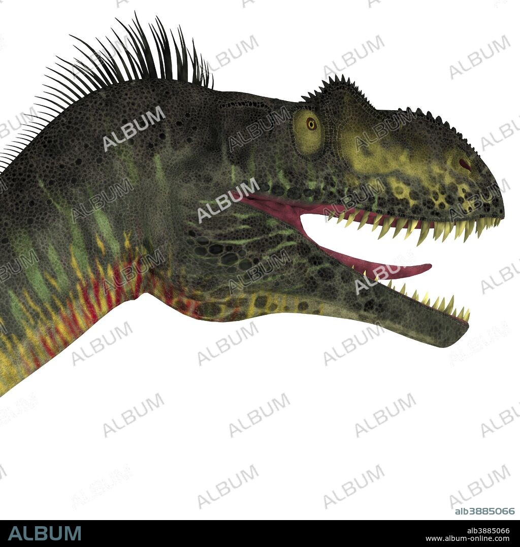 Close-up of a menacing Megalosaurus. Megalosaurus was a large carnivorous theropod dinosaur that lived in the Jurassic Period of Europe.