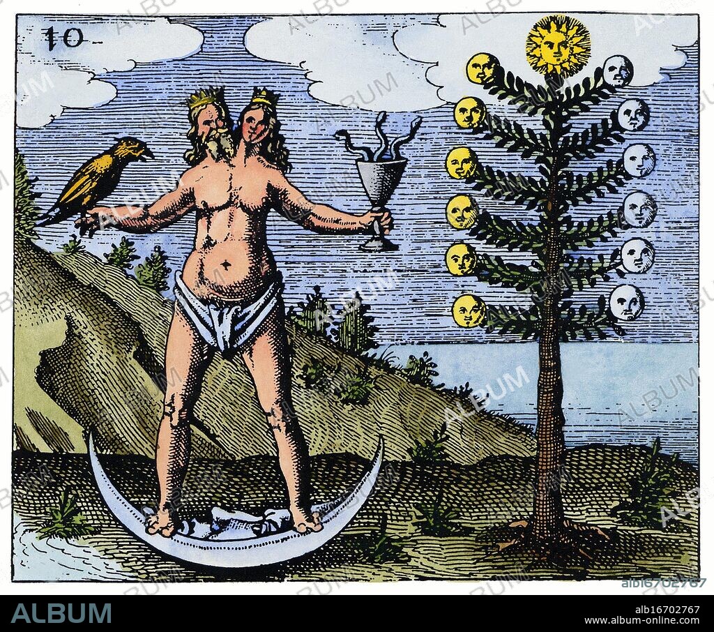 ALCHEMY - TREE OF THE MOON - HERMAPHRODITE. Engraving from Johann Daniel Mylius, Philosophia Reformata, 1622. The presence of the Tree of the Moon, or the Arbor Argentum, along with the fact that the hermaphrodite stands on a crescent Moon, indicates that this stage is the alchemical process marking the perfection of the First Silver. The hermaphroditic merging of the King and Queen indicates that the process is not yet complete, as integration has not taken place.