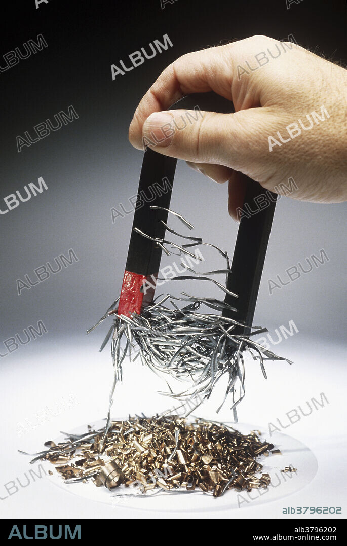 Magnetism. Steel filings being picked up with a horseshoe magnet from a pile of copper and steel. Steel is ferromagnetic. This means that when the steel filings are brought close to a magnet, the individual filings will become tiny magnets themselves and will be attracted to the magnet by the force of its magnetic field.