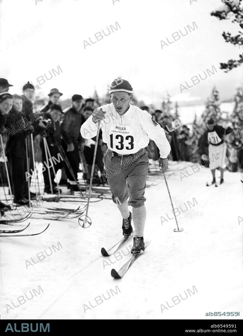 SUNDSVALL 1955-02-24.. Sixten Jernberg, skidåkare, under 15 km-loppet vid skid-SM i Sundsvall, som han vann. Han tog guld även på 50 km och silver på 30 km.. Foto: Owe Sjöblom / AB Text & Bilder / SVT / Kod: 5600. Mapp: Jernberg, Sixten A. Skidåkning Längdskidåkning Vinnare Segrare Vintersport Åskådare Nummerlappar.