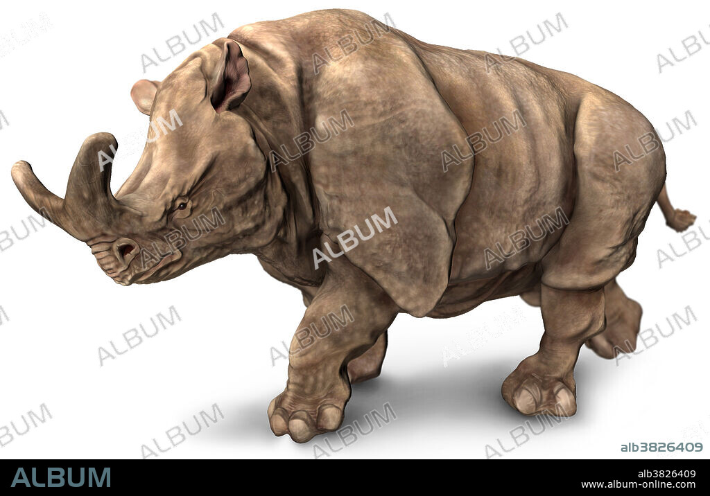 An artistic 3D rendering of Brontotherium, an extinct prehistoric North American mammal which existed during the late Eocene epoch, roughly 38 million years ago. Brontotherium (also known as Megacerops) resembled a large rhinoceros, measuring about 8 feet high and 16 feet long, with a distinct Y-shaped horn which was more prominent in males. Despite its appearance, Brontotherium was more closely related to prehistoric horses as a perissodactyl (odd-toed ungulate).