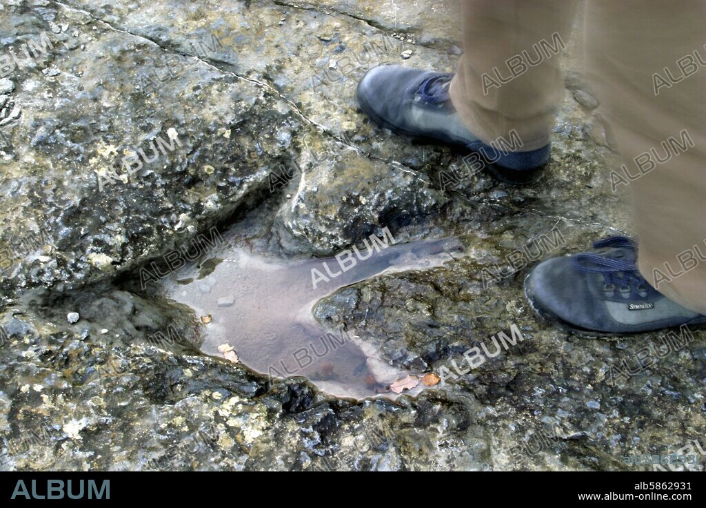 Enciso: yacimiento "Valdecillo"; Huellas de Dinosaurios o "icnitas".
