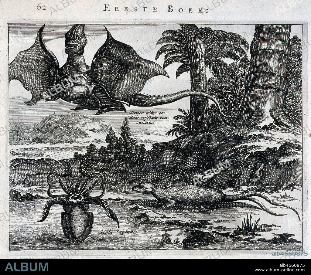Etranges animaux d'Amerique selon les conquerants hollandais (dragon, seiche et iguane. Gravure tiree de Beschryving van America en t'Zuid Land... par Arnoldius Montanus de 1671. Credit: Collection MX/KHARBINE-TAPABOR.