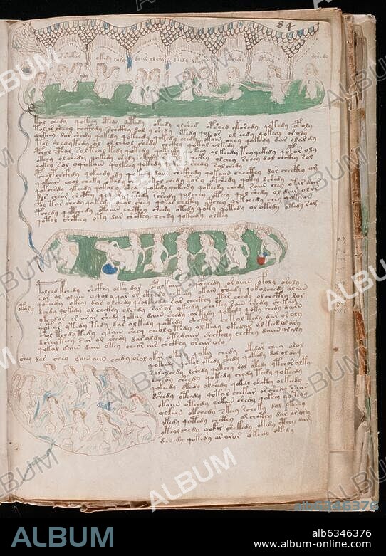 Buchmalerei, Norditalien(?), um 1404/1438. /-Illustration.-/ Aus dem sog. Voynich-Manuskript (benannt nach dem Antiquar Wilfrid Michael Voynich). Text in einer unbekannten Schrift und Sprache. Deckfarben auf Vellum. Beinecke Rare Book and Manuscript Library, MS 408, fol.81 r,.
