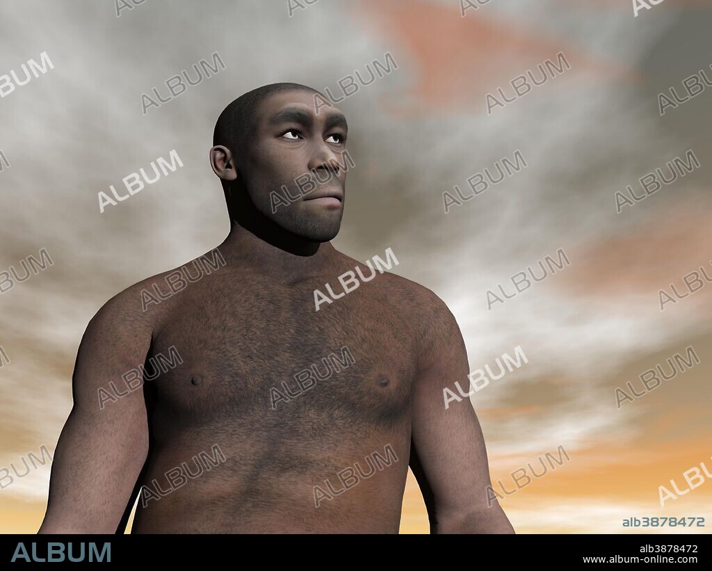 Male Homo Erectus, an extinct species of hominid.