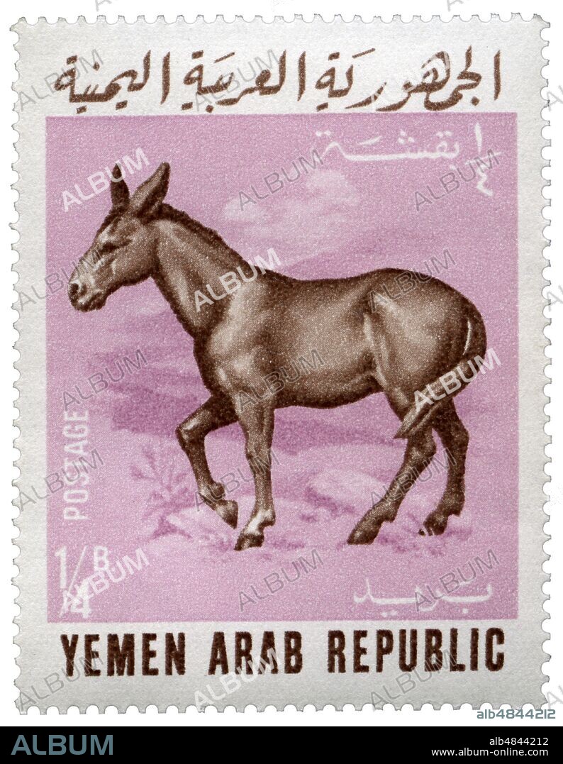 FRANCOBOLLI ll Mulo. Postage stamp of a series issued by Yemeni Post Office representing domestic animals. Face value 1/4 B. Arab Republic of Yemen, 1966.