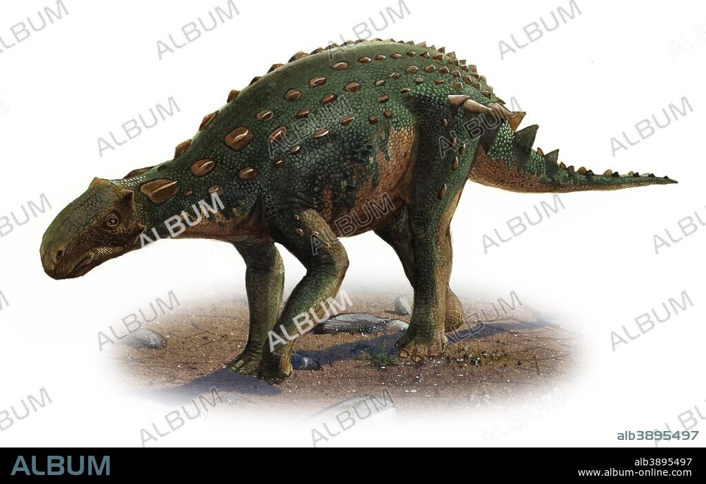 Minmi paravertebra, a prehistoric era dinosaur from the Early Cretaceous period.