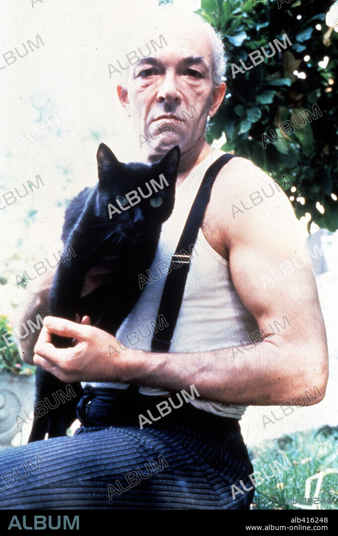 EL GATO INFERNAL, 1990 (TALES FROM THE DARK SIDE: THE MOVIE), dirigida por JOHN HARRISON. Copyright LAUREL DSM/PARAMOUNT.
