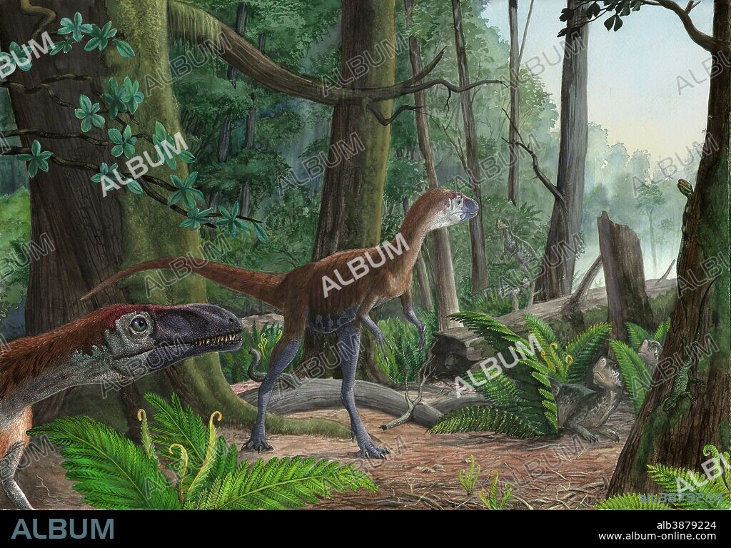 Dilong paradoxus strolling around the woods in search of food. Lizard movement attracted the attention of one of them. In the thickets are five Psittacosaurus trying to blend with the environment.