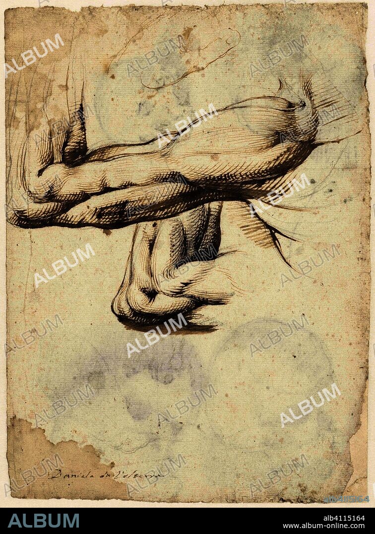 Two arms and a hand. Draughtsman: Daniele da Volterra. Dating: 1519 - 1566. Measurements: h 273 mm × w 203 mm.