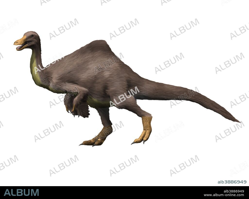 Deinocheirus is an ostrich-like dinosaur of the Late Cretaceous period.