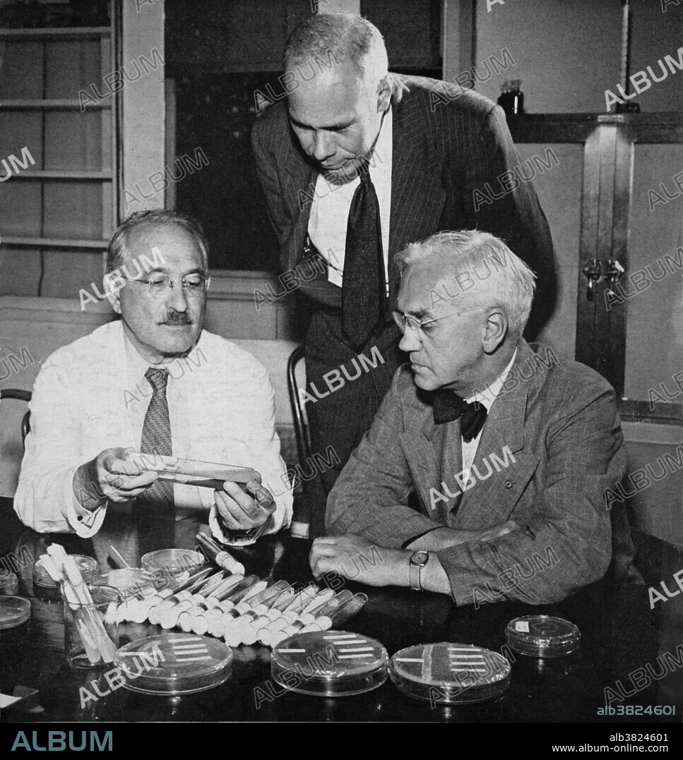 Selman Waksman (left) talking to Sir Alexander Fleming (right) and Gerhard Domagk (standing). All three men received the Nobel Prize in Physiology or Medicine. Fleming (1881-1955) won in 1945 for the discovery of penicillin. Gerhard Domagk (1895-1964) won in 1939 for the discovery of prontosil rubrum as an antibiotic. Waksman (1888-1973) won in 1952 for the discovery of streptomycin. New York Public LIbrary Picture Collection.