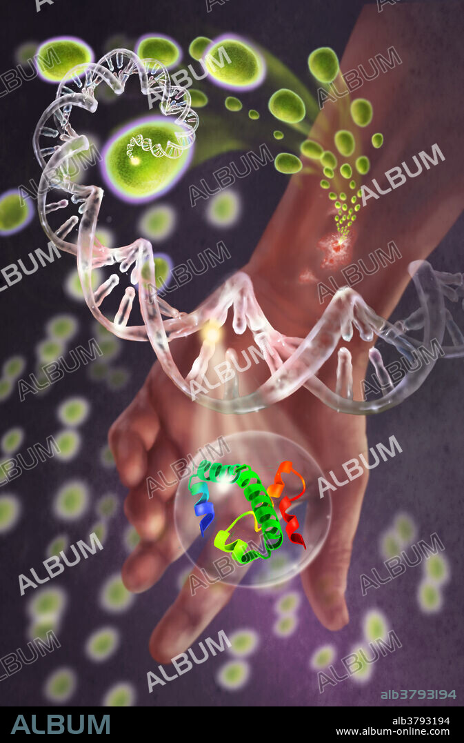Illustration of MRSA, Methicillin-resistant Staphylococcus aureus infection. This is not a virus, but a strain of staph bacteria that has become resistant to antibiotics commonly used to treat ordinary staph infections. Antimicrobial resistance is a huge dilemma for the Healthcare community. This illustration depicts the protein and gene that is responsible for the metamorphosis into a deadly bacteria.