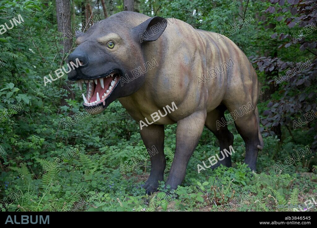 Hyaenodon, an extinct carnivorous mammal from the Eocene Epoch, in Dinosaurier Park, Germany.