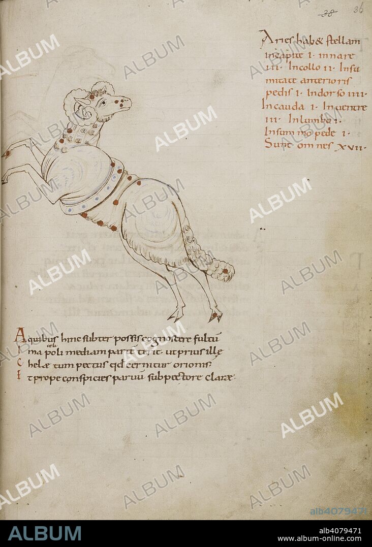MARCUS TULLIUS CICERO. Illustration of the constellation Aries, by an Anglo-Saxon artist in the style of the Winchester school. Aratus. France [Fleury?]; late 10th century. Source: Harley 2506, f.36. Language: Latin.