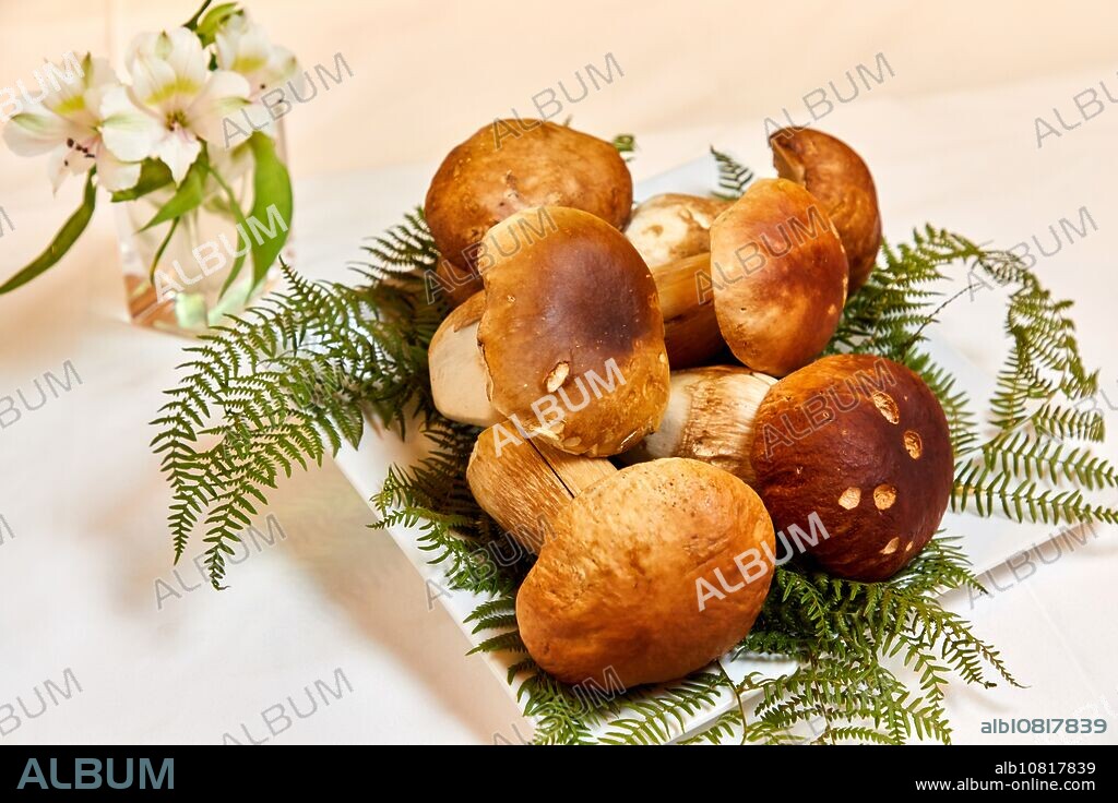 Boletus, Restaurante Juanito Kojua, Parte Vieja, Old Town, Donostia, San Sebastian, Gipuzkoa, Basque Country, Spain.