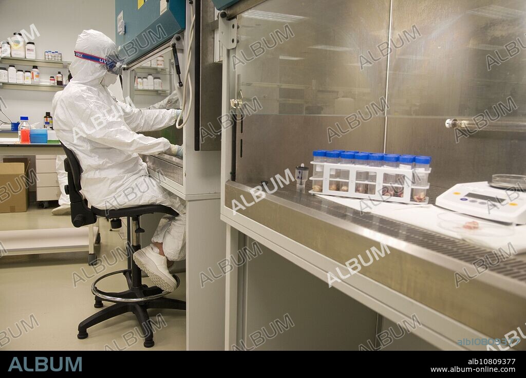 EEEETT sample, Laboratory of Bacteriology, Departamento de Producción y Sanidad Animal, Neiker Tecnalia, Instituto de Investigación y Desarrollo Agrario, Ganadero, Forestal y del Medio Natural, Derio, Bizkaia, Euskadi, Spain.